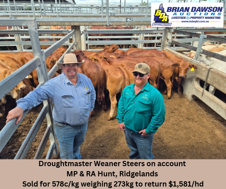 Screenshot 2026 04 02 110659