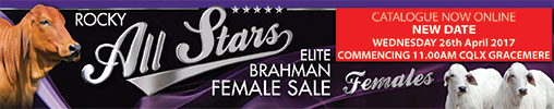 rocky all stars elite brahman female sale web banner