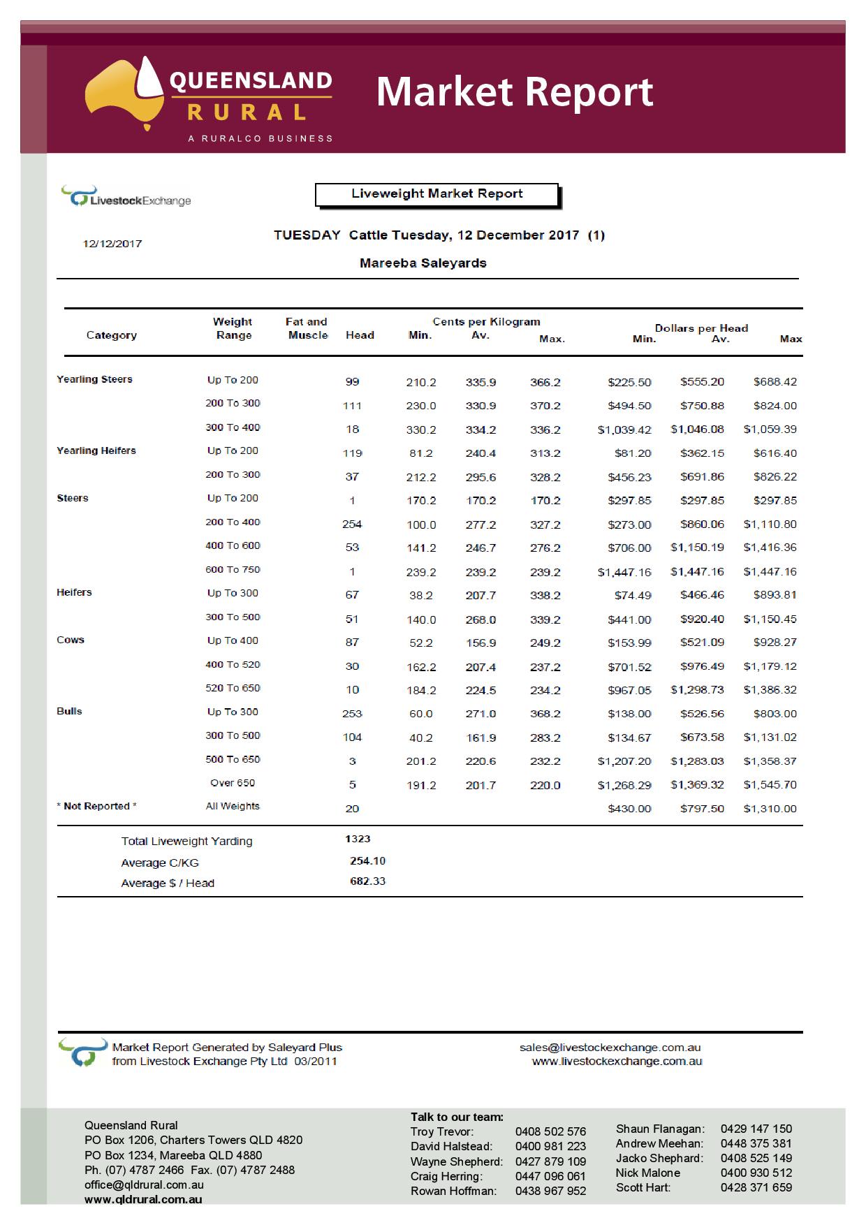 Mareeba Cattle Market Jim Pola Digital Marketing
