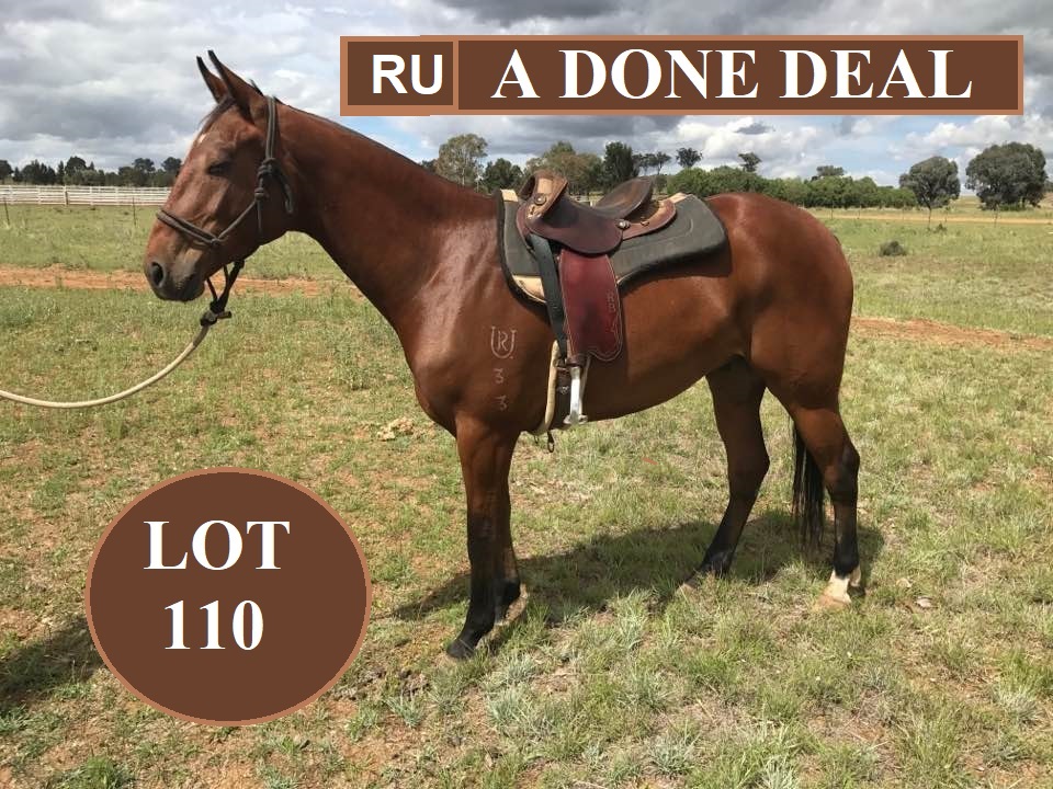 RUA Done Deal lot 110