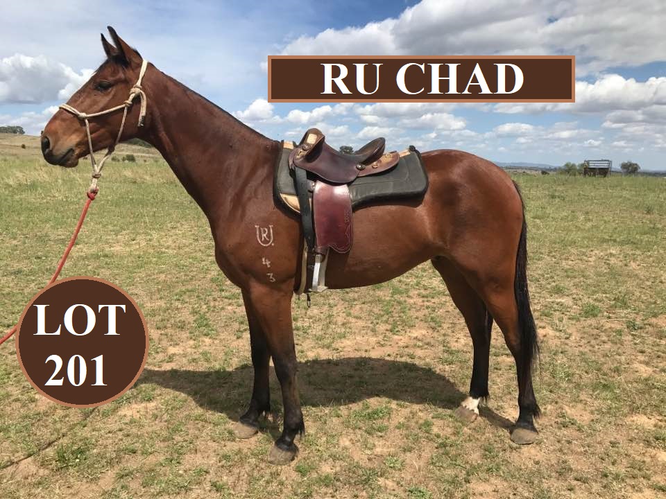 RU Chad lot 201