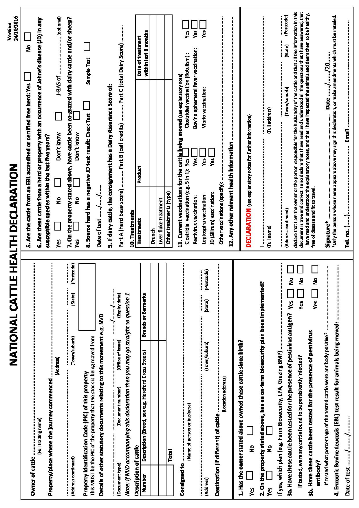 Mareeba Cattle Market Jim Pola Digital Marketing