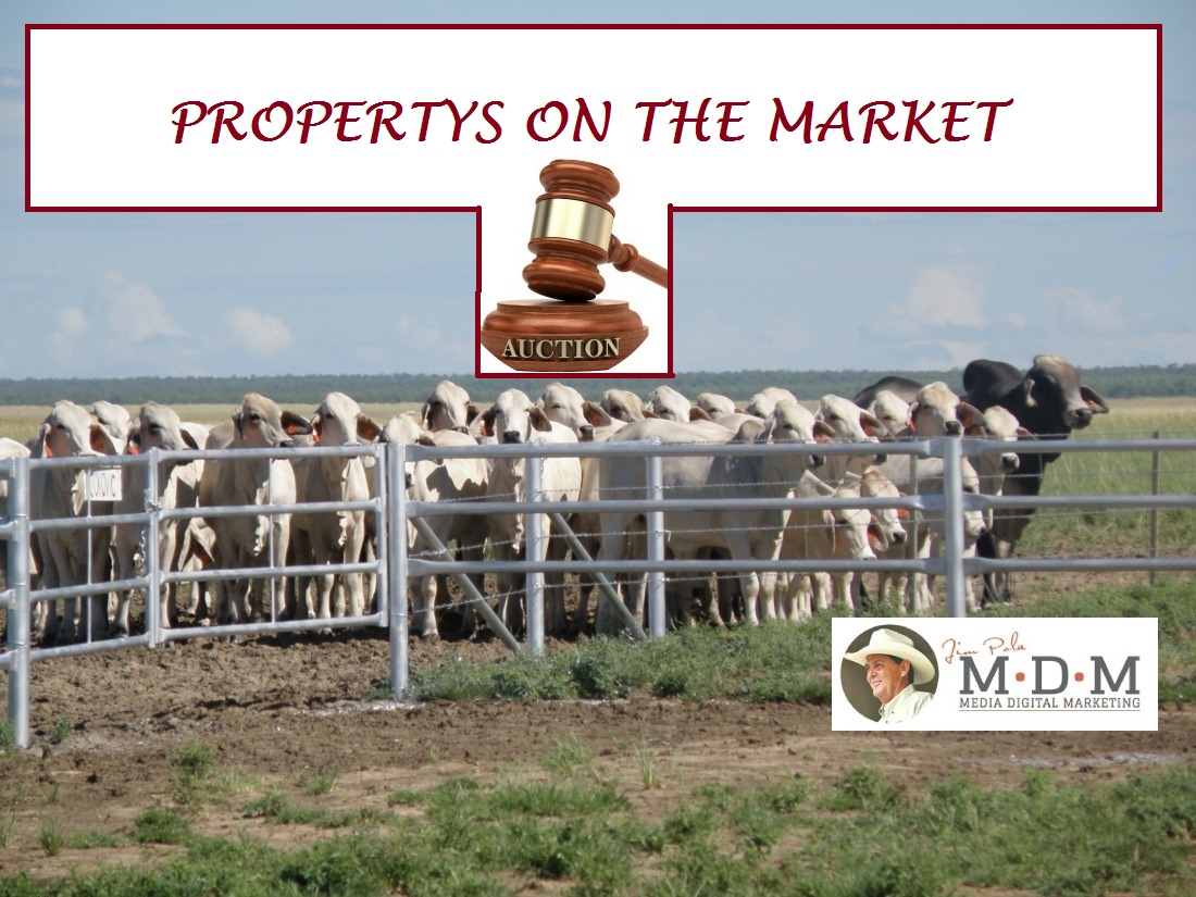 Properties On The Market Jim Pola