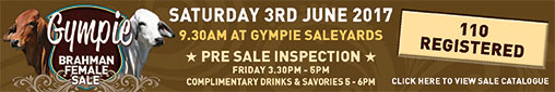 gympie female sale 2017 web banner
