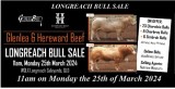 Glenlea and Hereward Beef Sale. 2024
