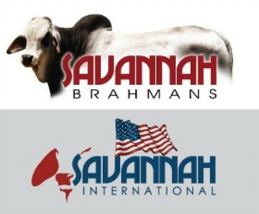 Savannah Brahmans & Savannah International