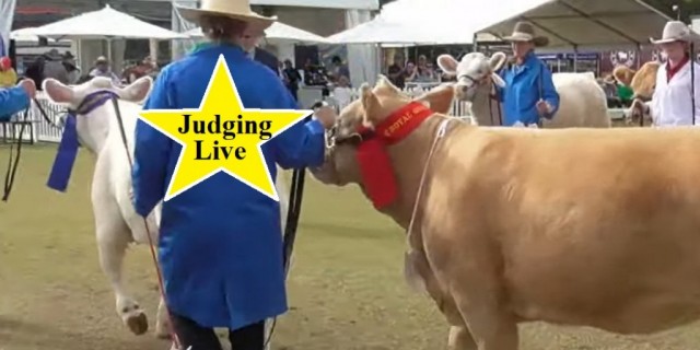 143rd  ROYAL QUEENSLAND SHOW
