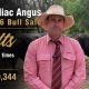 Go to Bulliac Angus  Bull Sale