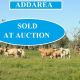 Go to Addarea - Winton