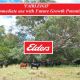 FAIRLEIGH