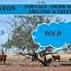 Go to EUSTON – LONGREACH