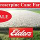 Proserpine Cane Farm