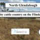 Go to North Glendalough