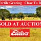 Highly Fertile Grazing Close To Roma