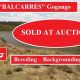 BALCARRES..