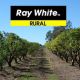Major Qld Orchard Must Sell Before Christmas