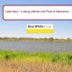 "Lake Mary"