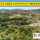 Go to SECLUDED LIFESTYLE PROPERTY
