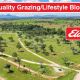 Go to Quality Grazing/Lifestyle blocks.