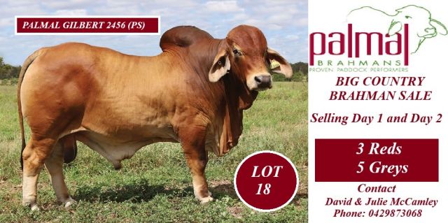 Palmal Brahmans Big Country 2026