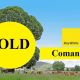 Go to Comanche SOLD SOLD SOLD