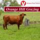 Go to Orange Hill Grazing.