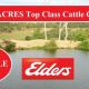 881 ACRES Top Class Cattle Country