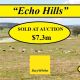 Echo Hills