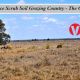 The Gums   Choice Scrub Soil Grazing Country