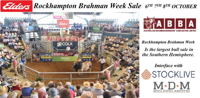 Brahman Week Sale 2025