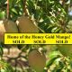Home of the Honey Gold Mango!