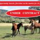 Go to 400 Acres Cattle Grazing Block.