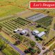 Go to Lee's Dragon Fruit Farm.