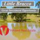 Go to Little Bracco