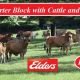 Go to Great Starter Block with Cattle and Plant
