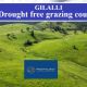 GILALLI