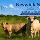 Go to Keswick Station, Julia Creek