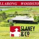 Go to BILLABONG, WOODSTOCK