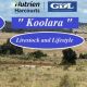 Go to Koolara