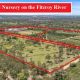 Go to Freehold Nursery on the Fitzroy River.
