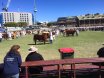 Wrap up at the EKKA