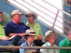 2016 National Droughtmaster Sale