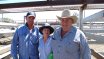 Moura Bull Sale