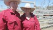 Moura Bull Sale