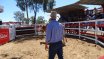 Moura Bull Sale