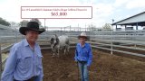 Lancefield Exceptional Sale