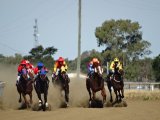 The Richmond Field days and Race day