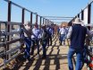 Richmond Field Days 2017
