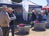 Richmond Field Days 2017