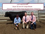 Murdeduke Angus Sale  